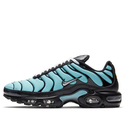 NIKE Air Max Plus 'Aqua Silver'